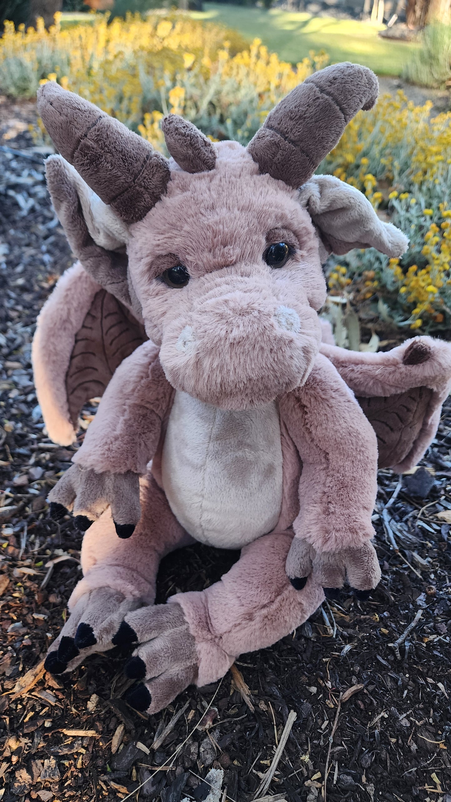 2025 CHARLIE SIGNATURE BEAR FELDSPAR