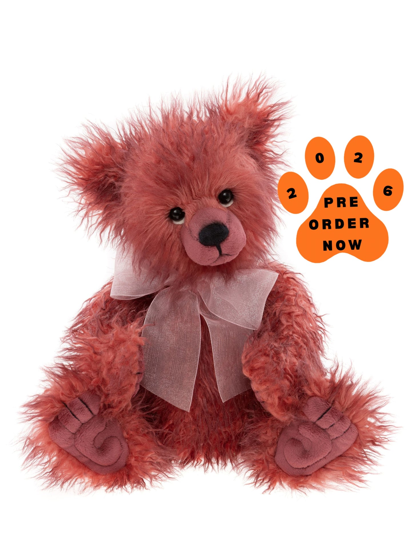 2026 CHARLIE BEAR TODDLE