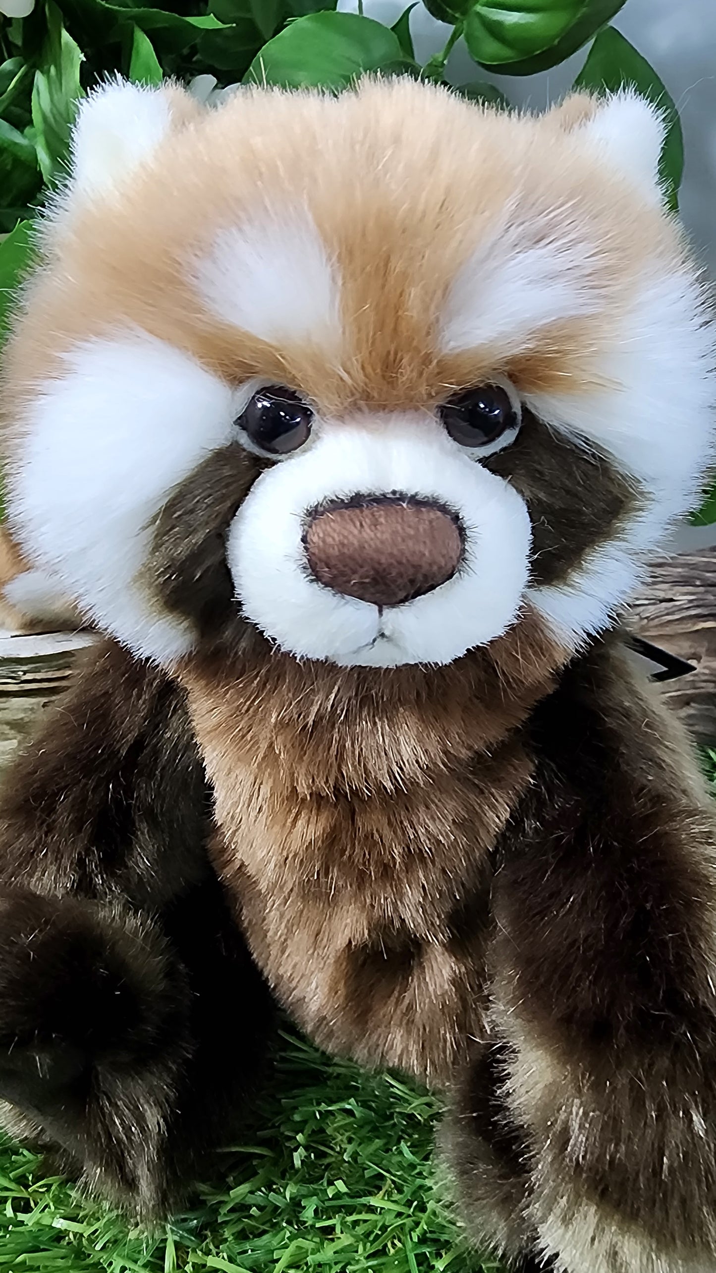 2025 CHARLIE BEARS ANNIVERSARY RONNIE