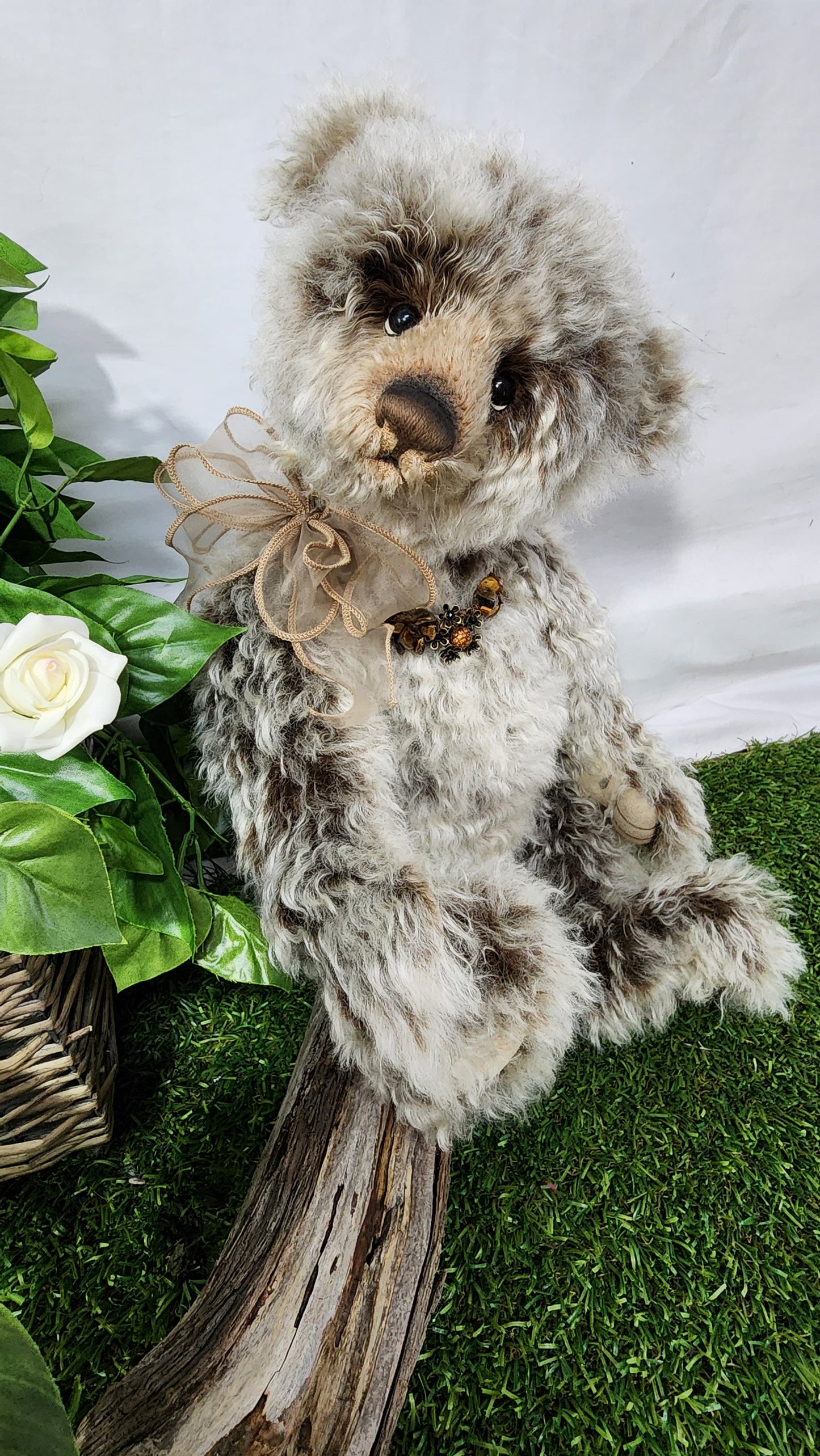 2025 ISABELLE COLLECTION MRS WILLIAMS