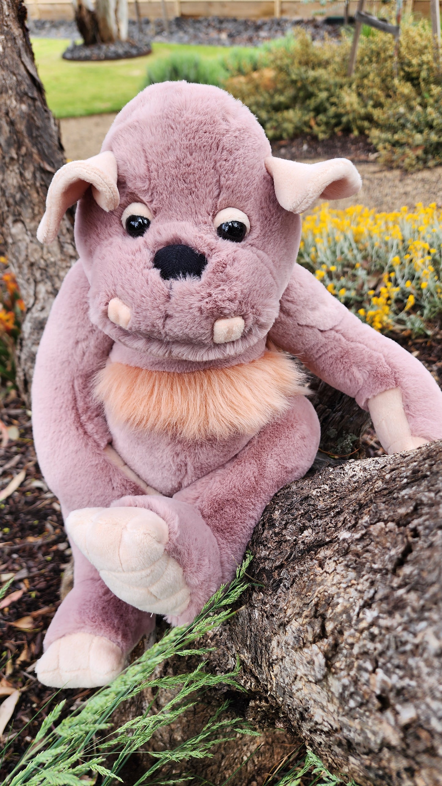 2025 CHARLIE BEARS BEARHOUSE BOULDER