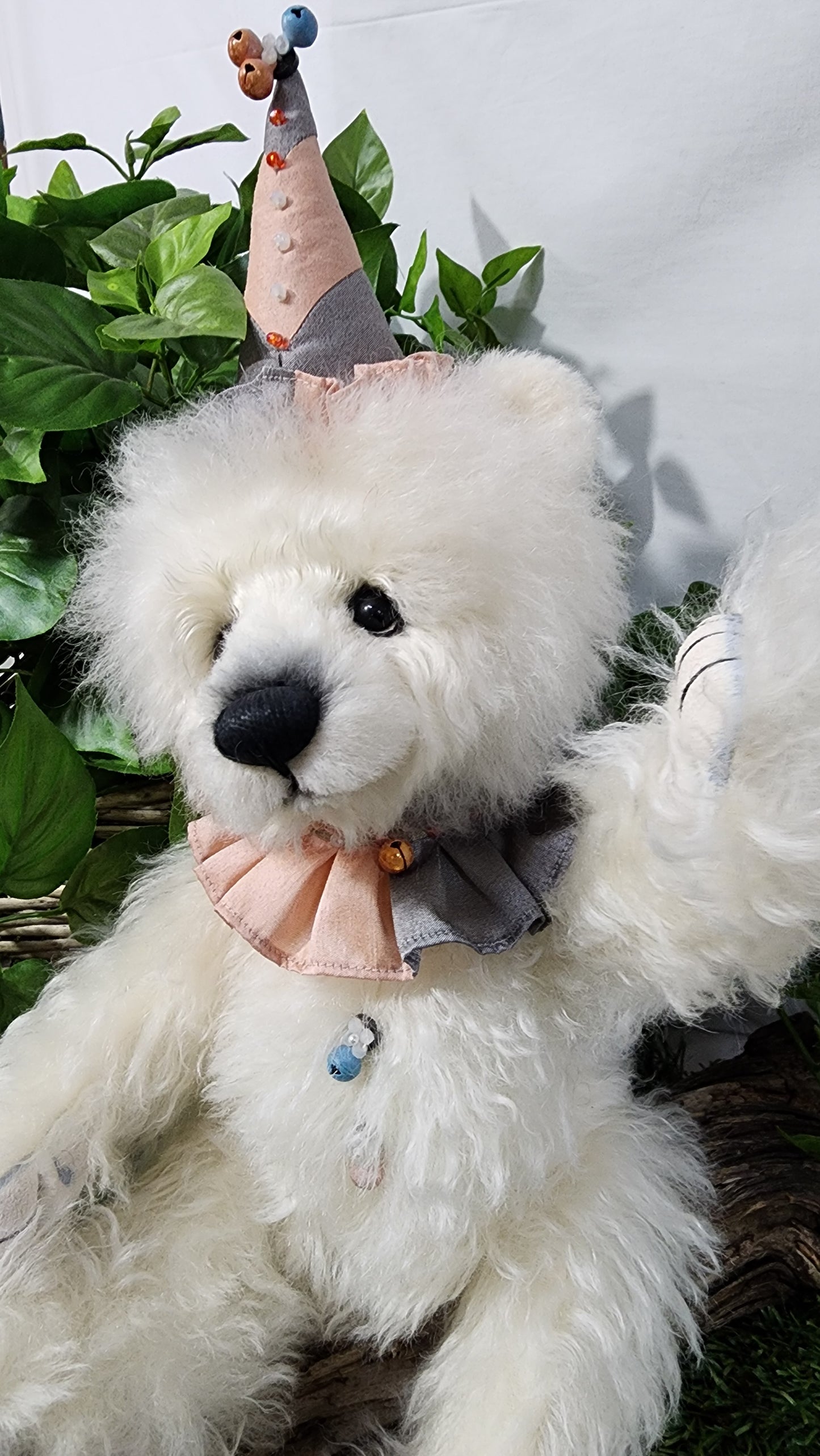 2025 ISABELLE COLLECTION COLVIG