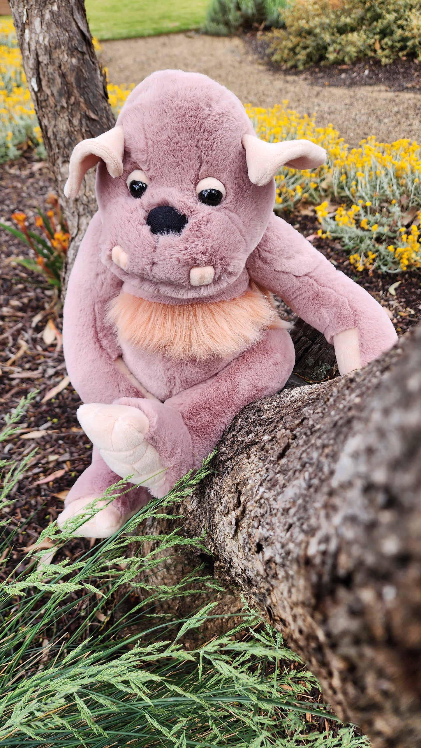 2025 CHARLIE BEARS BEARHOUSE BOULDER