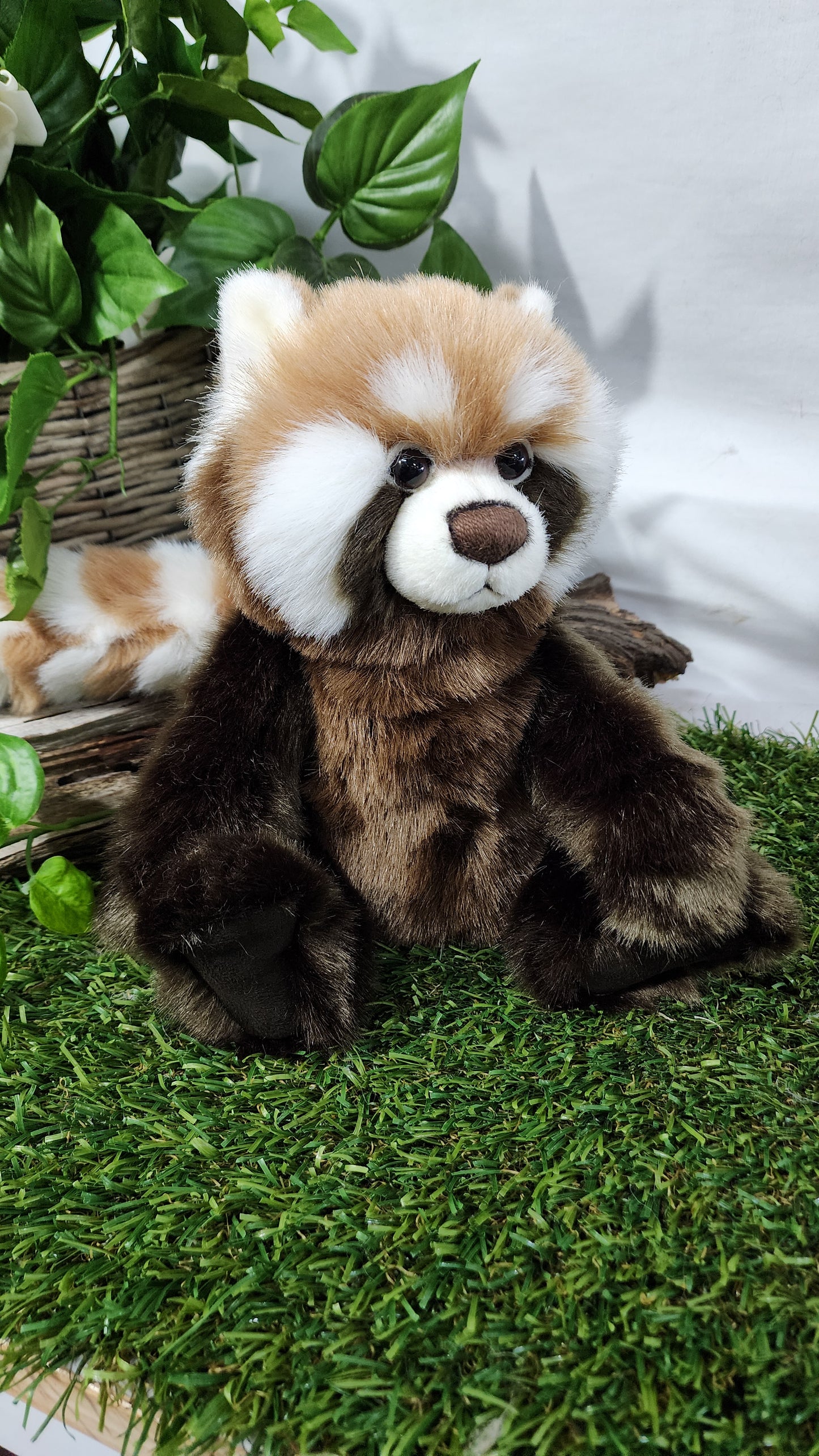 2025 CHARLIE BEARS ANNIVERSARY RONNIE