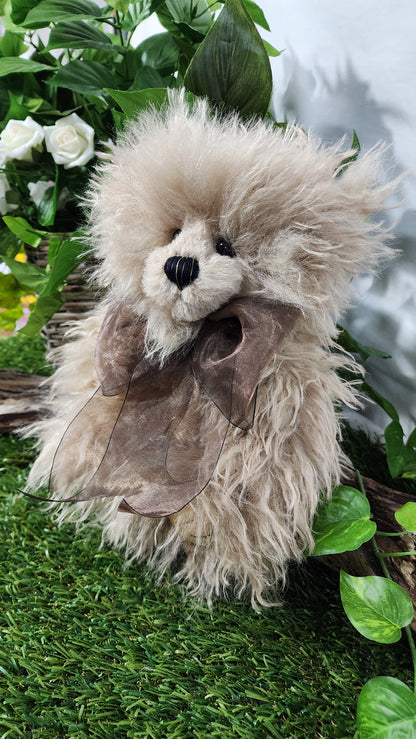 2026 CHARLIE BEAR FIZZGIG