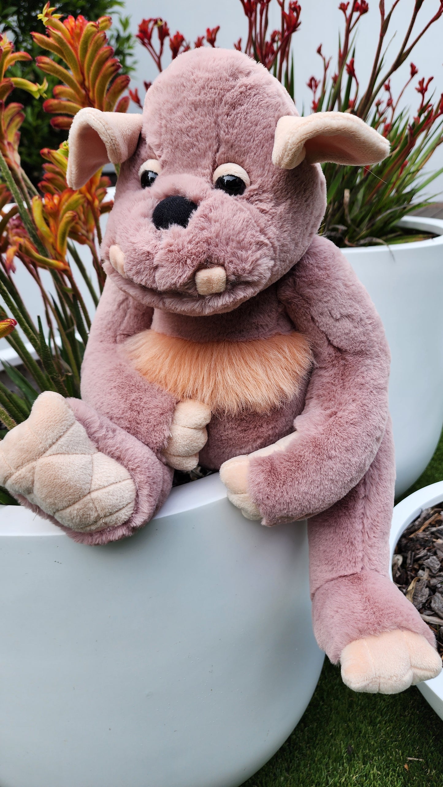 2025 CHARLIE BEARS BEARHOUSE BOULDER