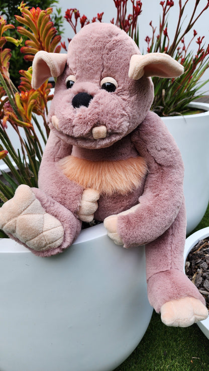 2025 CHARLIE BEARS BEARHOUSE BOULDER