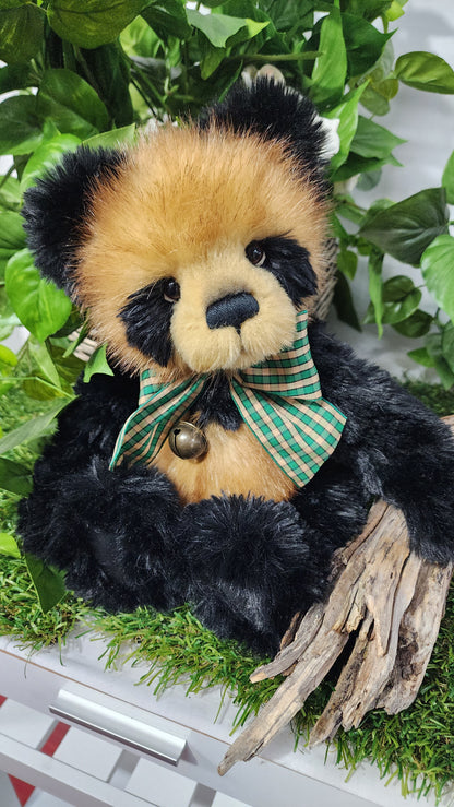 2026 CHARLIE BEAR COLLINS