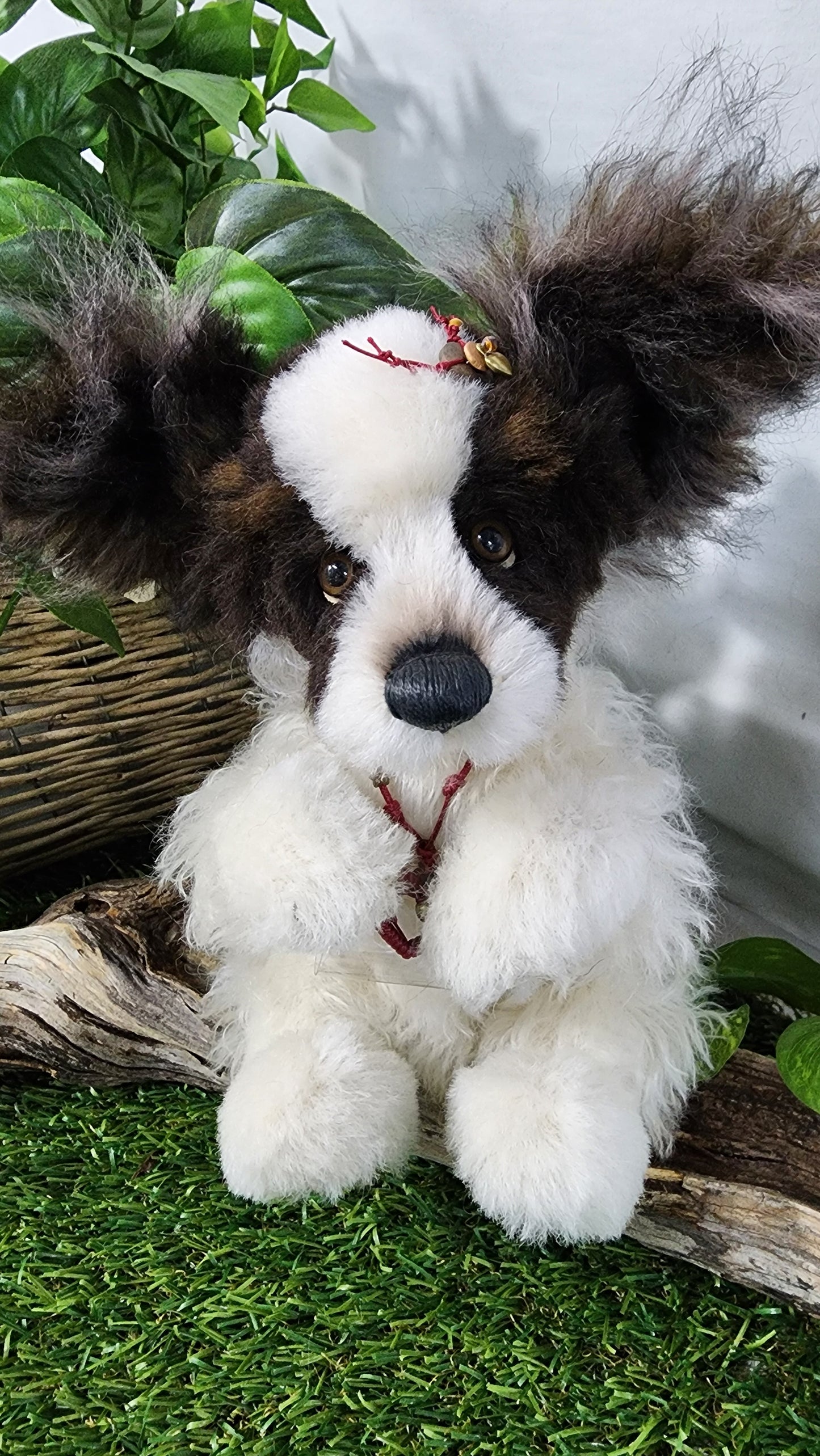 2026 ISABELLE COLLECTION TRIXIBELLE