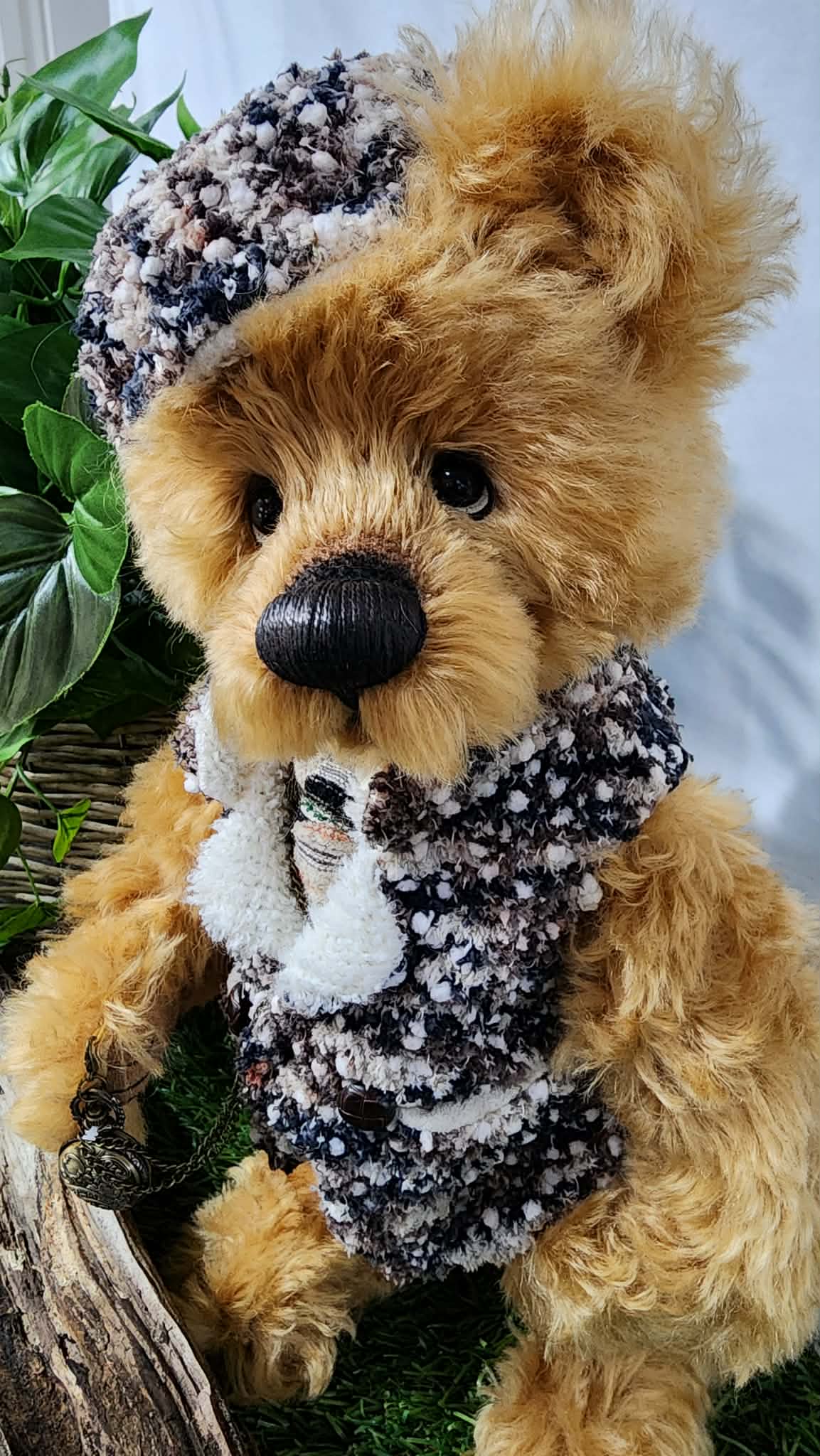 2026 ISABELLE COLLECTION MR HIGGINS