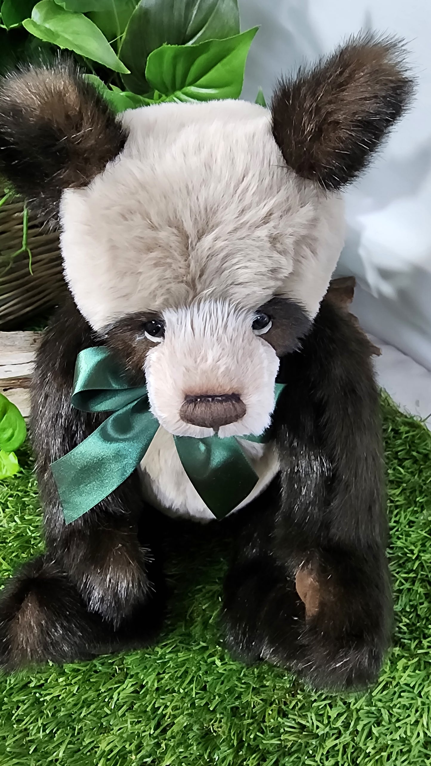 2025 CHARLIE BEARS BOTWOOD