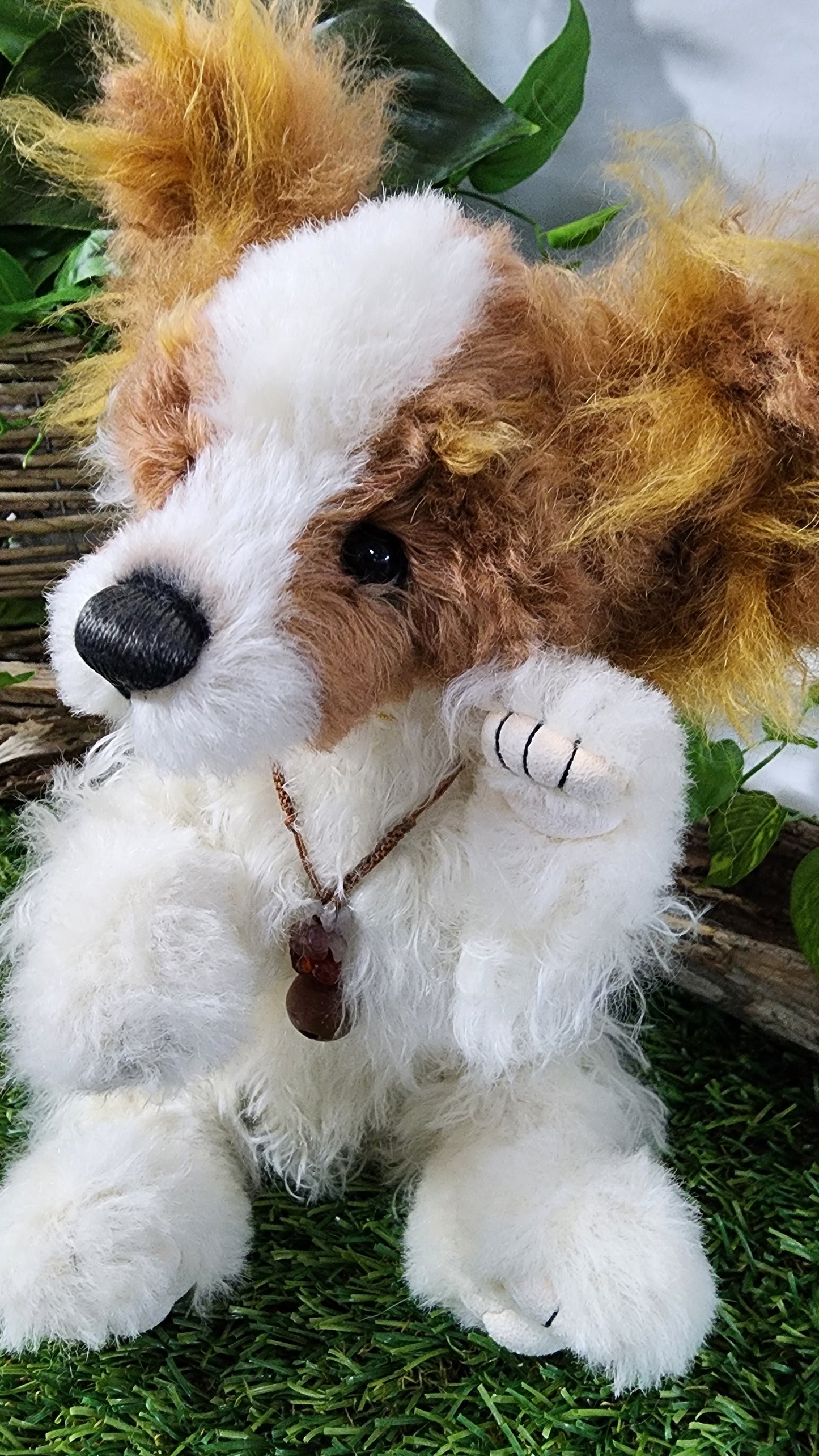 2026 ISABELLE COLLECTION MUNCHKIN