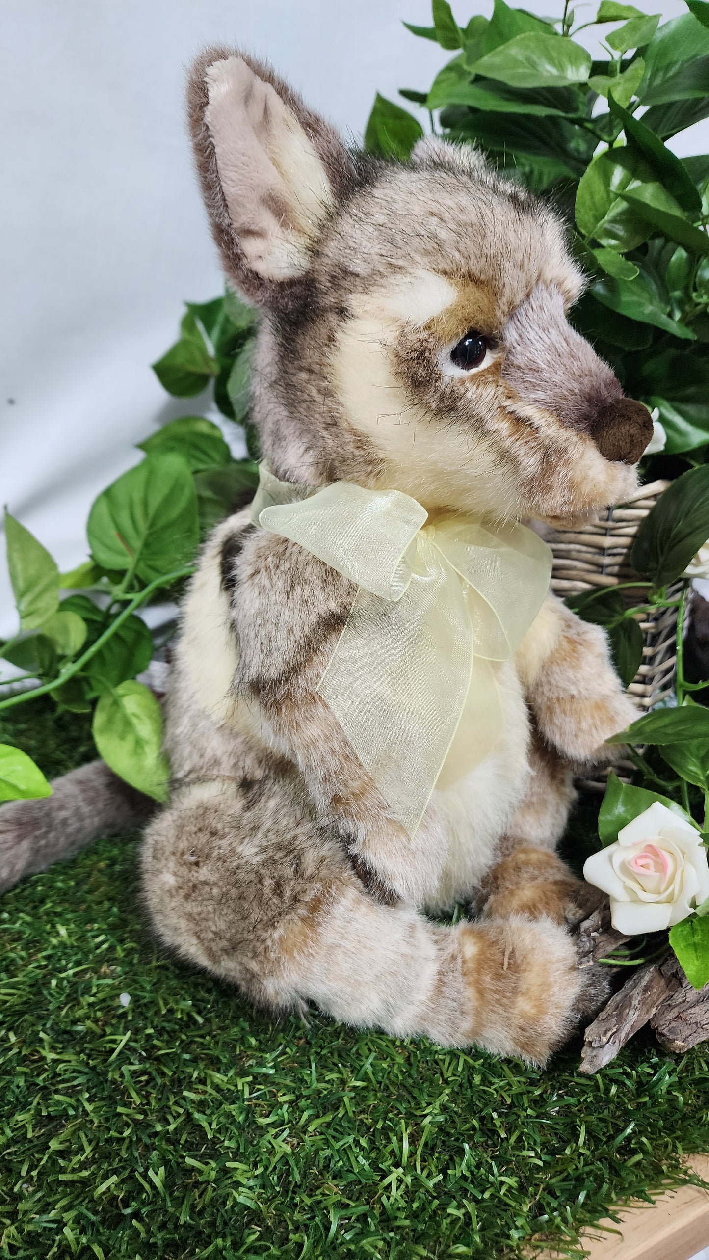 CHARLIE BEAR AUSTRALIA