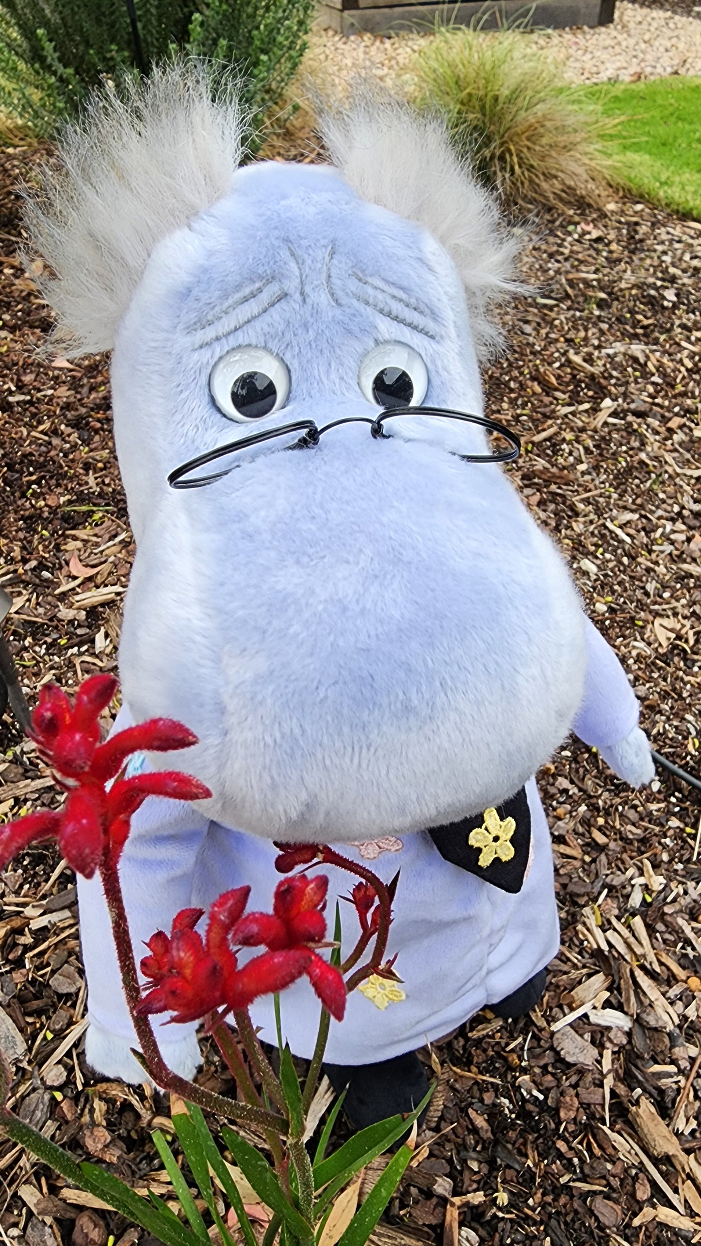 2025 CHARLIE SIGNATURE BEAR HEMULEN