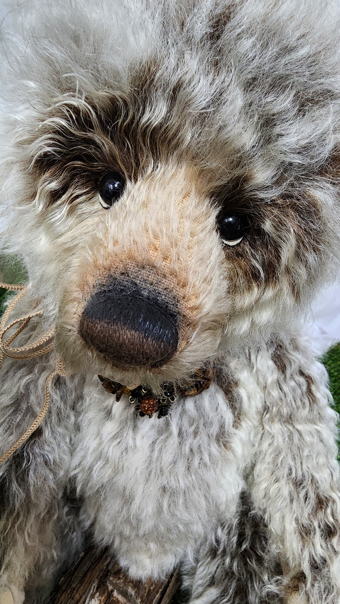 2025 ISABELLE COLLECTION MRS WILLIAMS