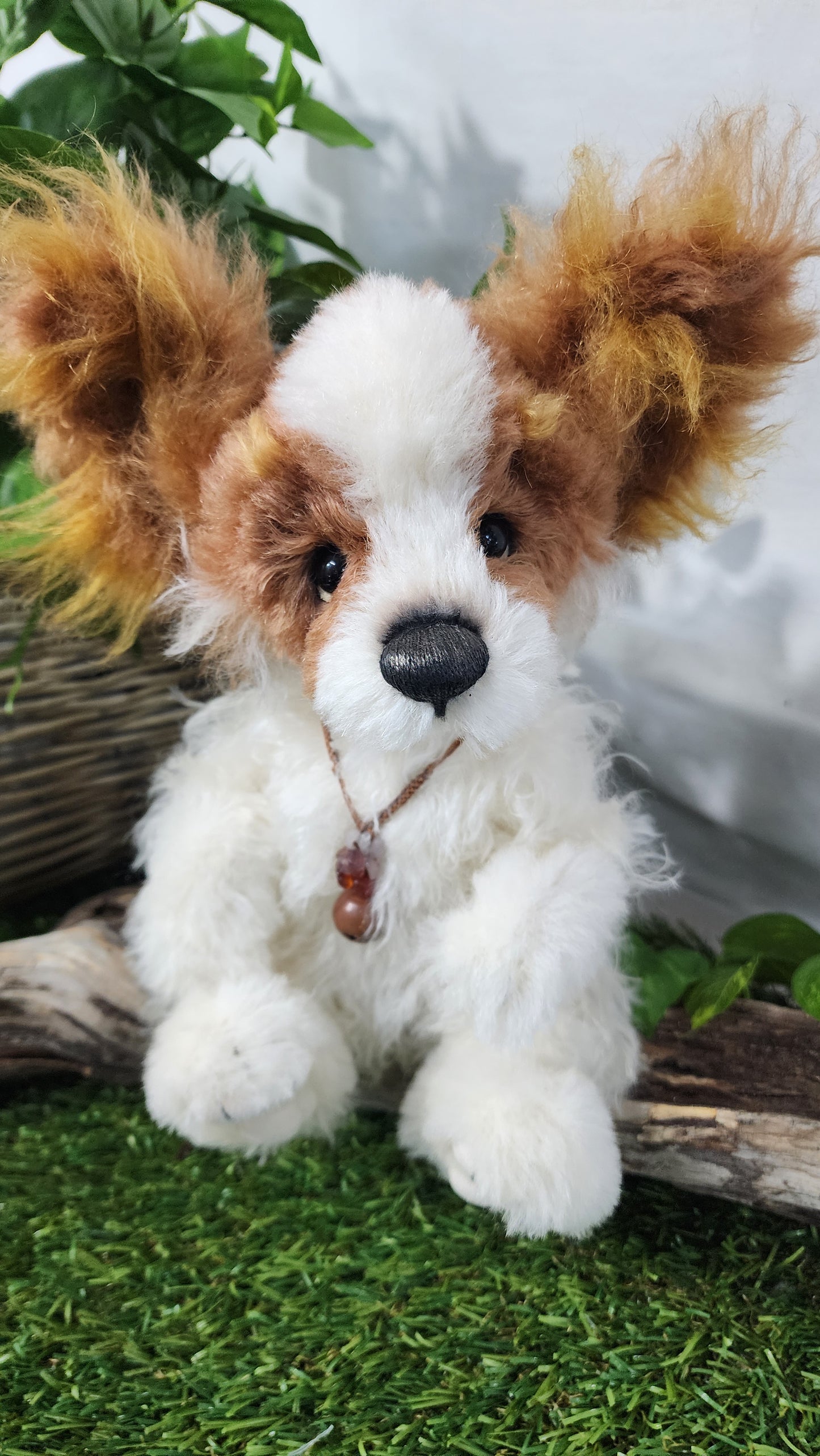 2026 ISABELLE COLLECTION MUNCHKIN