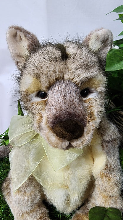 CHARLIE BEAR AUSTRALIA