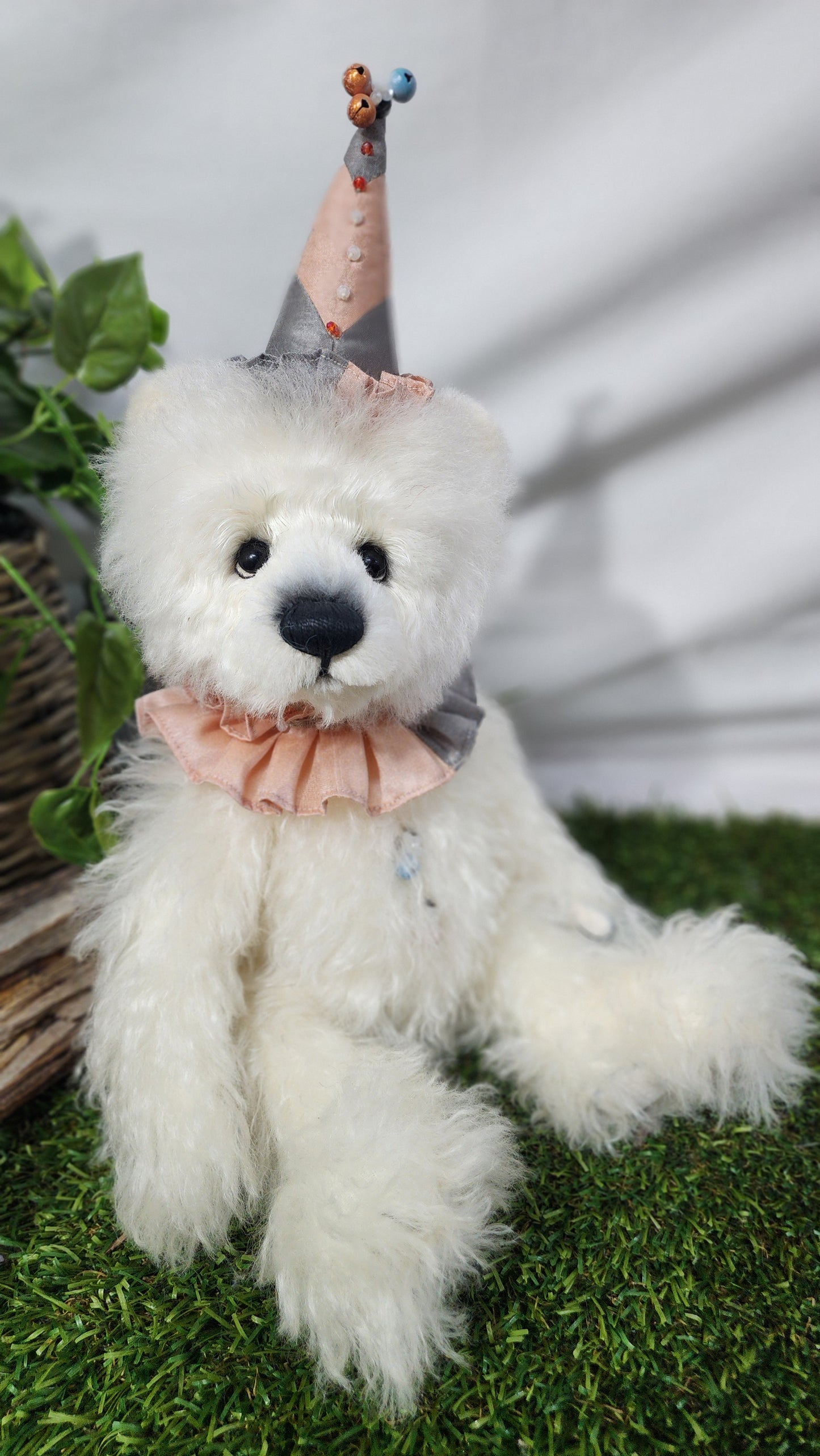 2025 ISABELLE COLLECTION COLVIG