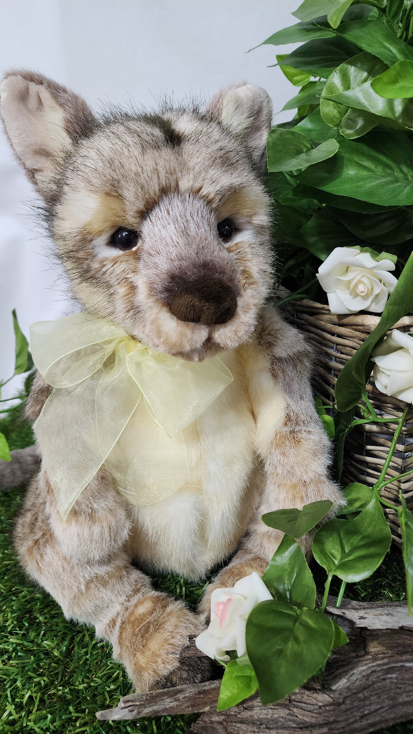 CHARLIE BEAR AUSTRALIA
