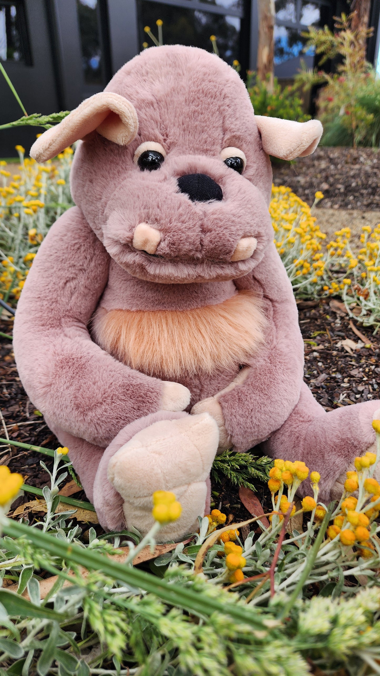 2025 CHARLIE BEARS BEARHOUSE BOULDER