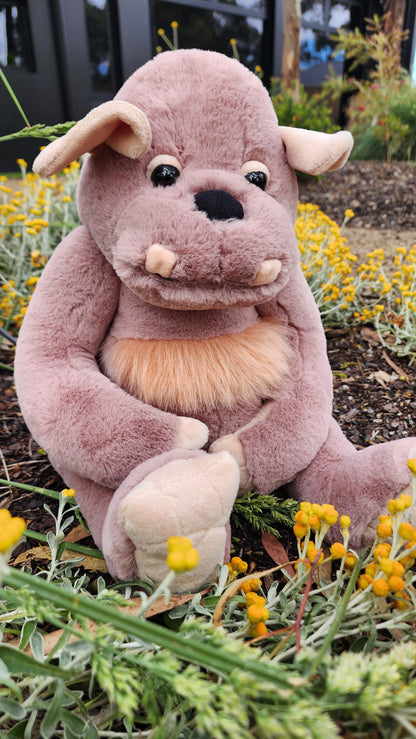 2025 CHARLIE BEARS BEARHOUSE BOULDER