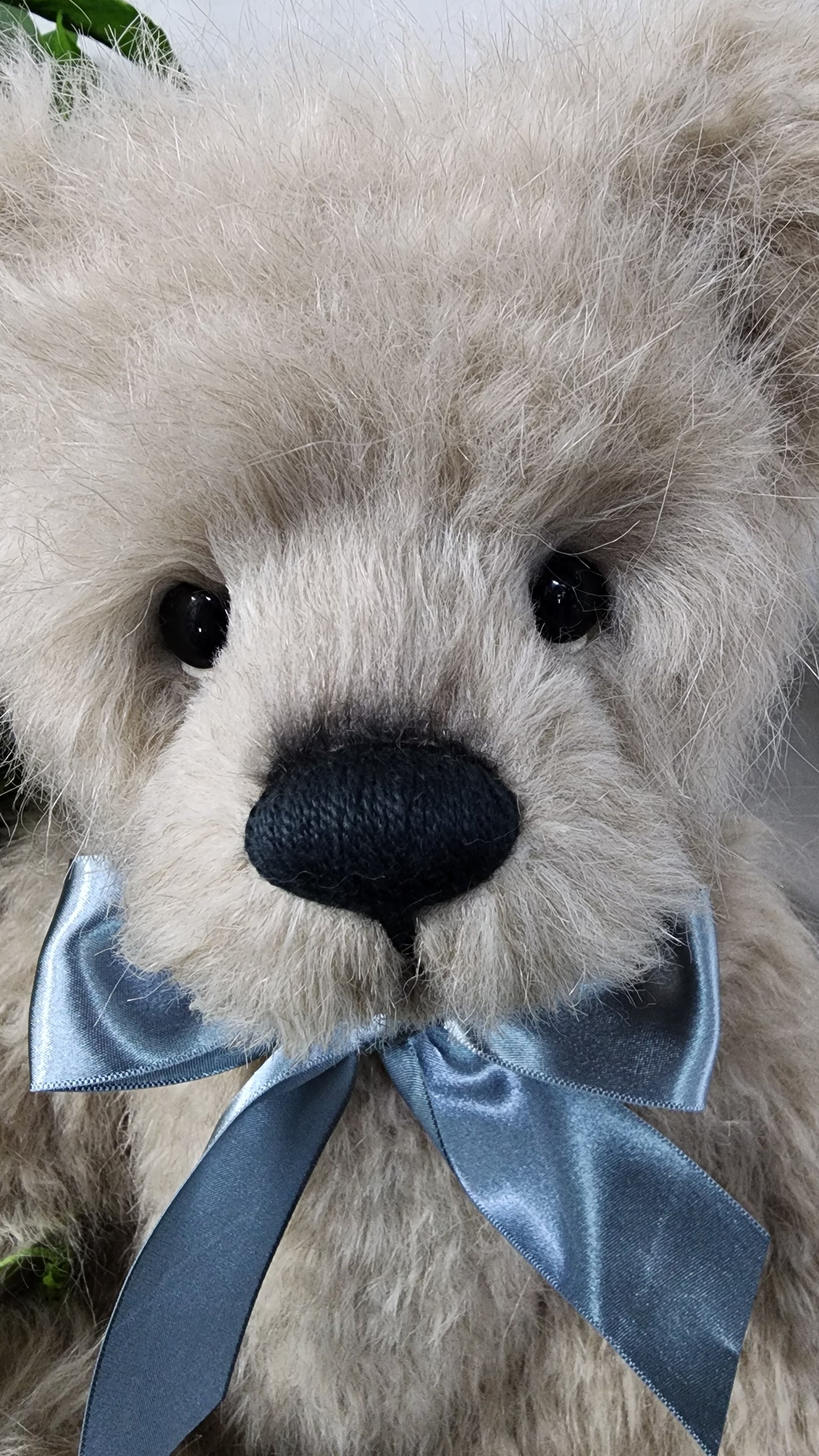 2026 CHARLIE BEAR JACKSON