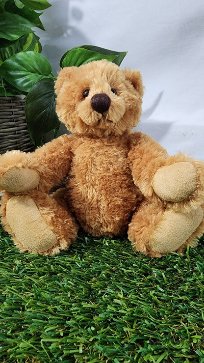 2026 CHARLIE BEAR HUGGABLE HARRY