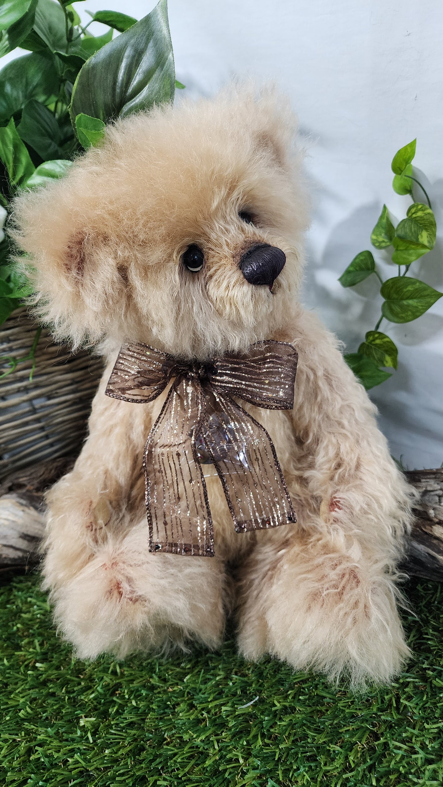 2026 ISABELLE COLLECTION TIMMS