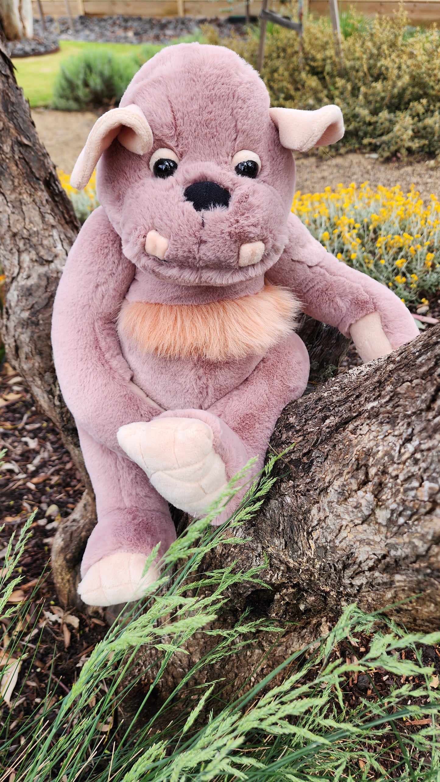 2025 CHARLIE BEARS BEARHOUSE BOULDER