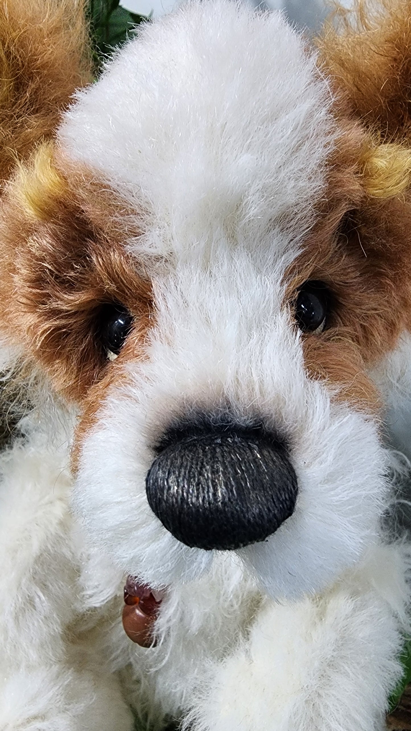 2026 ISABELLE COLLECTION MUNCHKIN