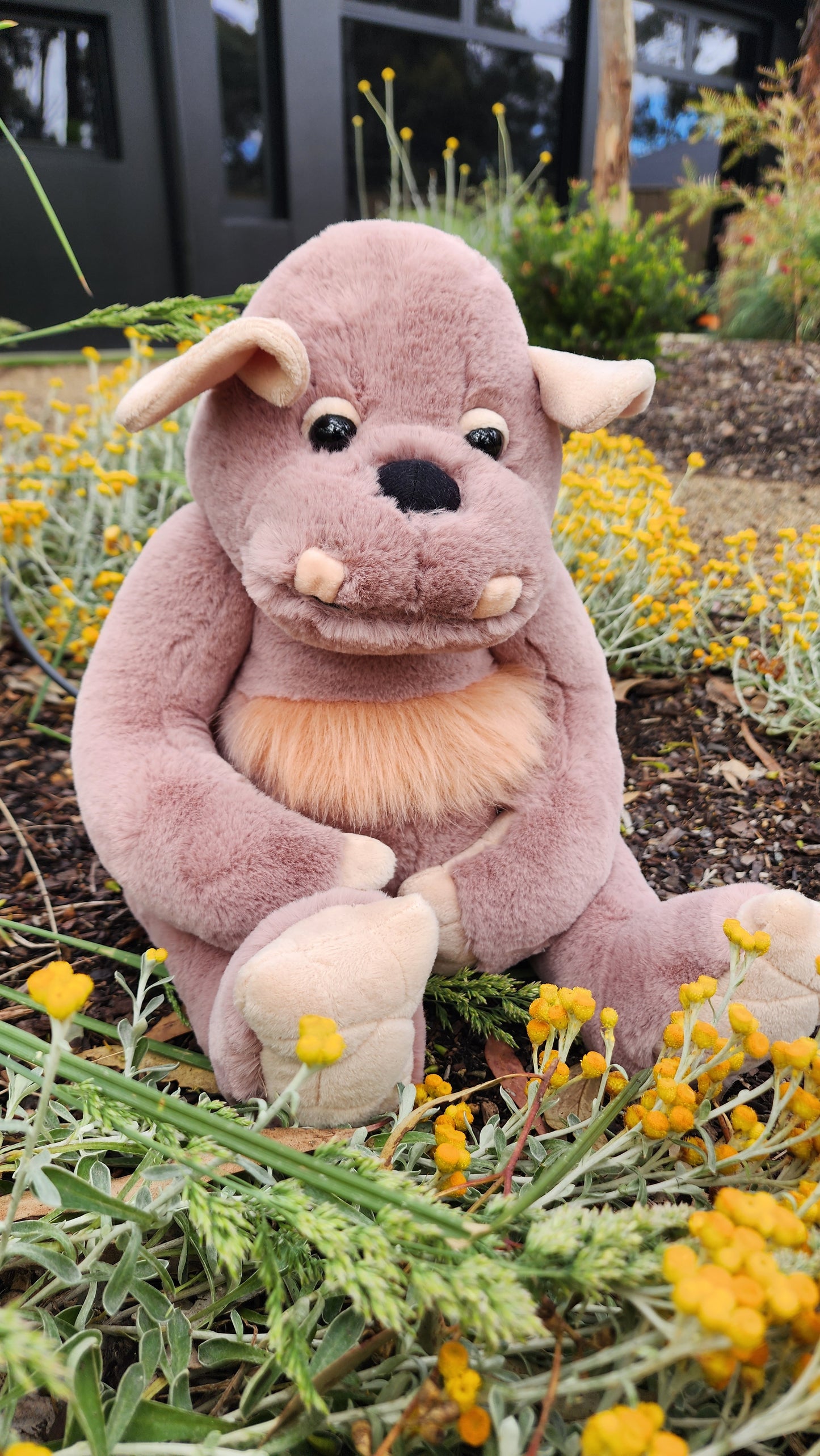 2025 CHARLIE BEARS BEARHOUSE BOULDER