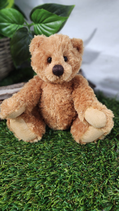 2026 CHARLIE BEAR HUGGABLE HARRY