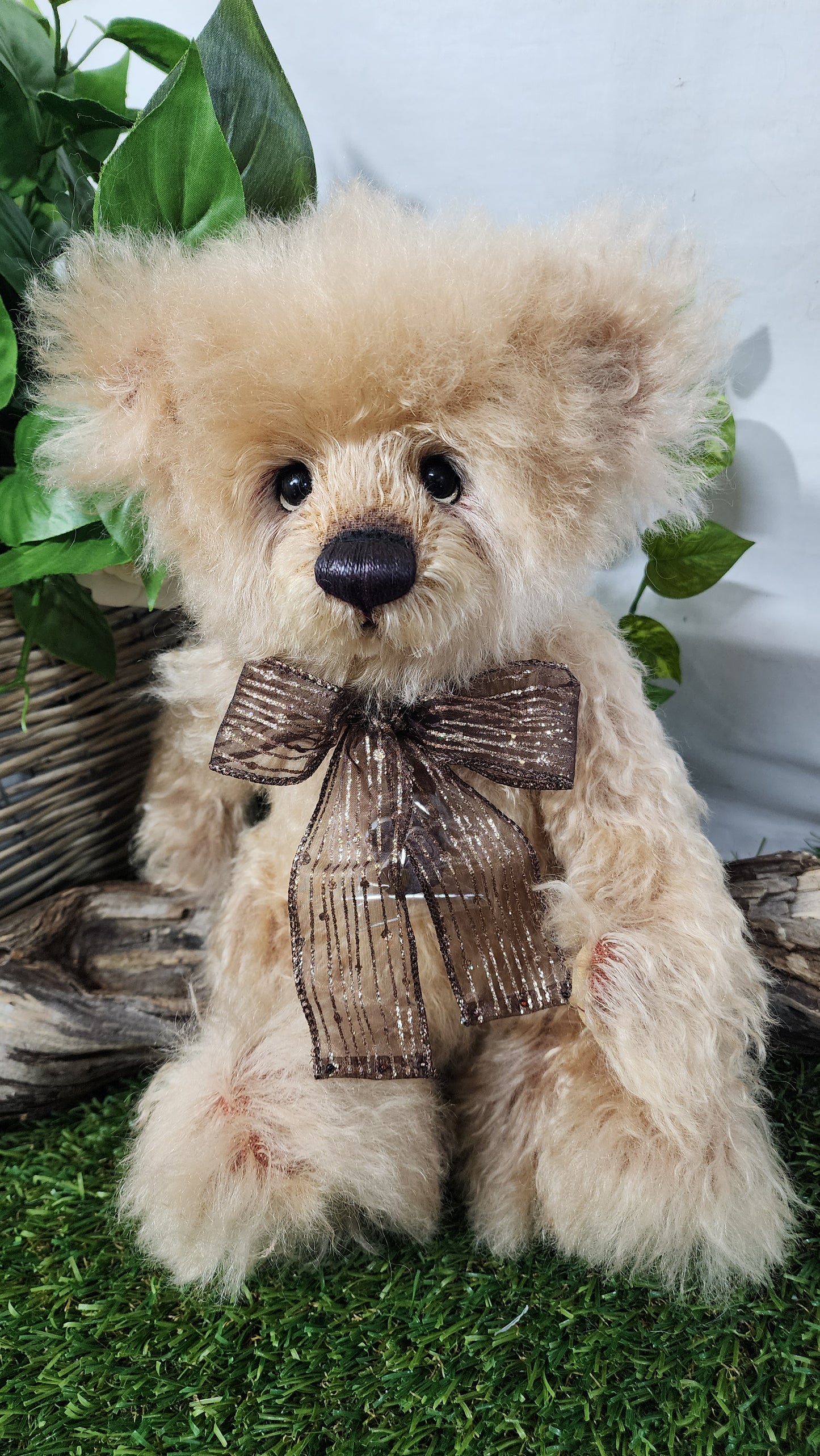 2026 ISABELLE COLLECTION TIMMS