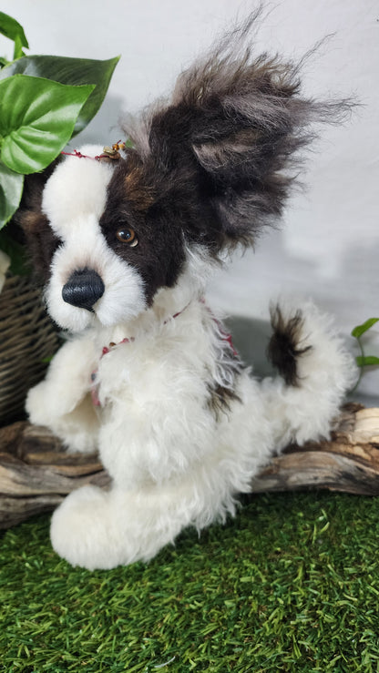2026 ISABELLE COLLECTION TRIXIBELLE