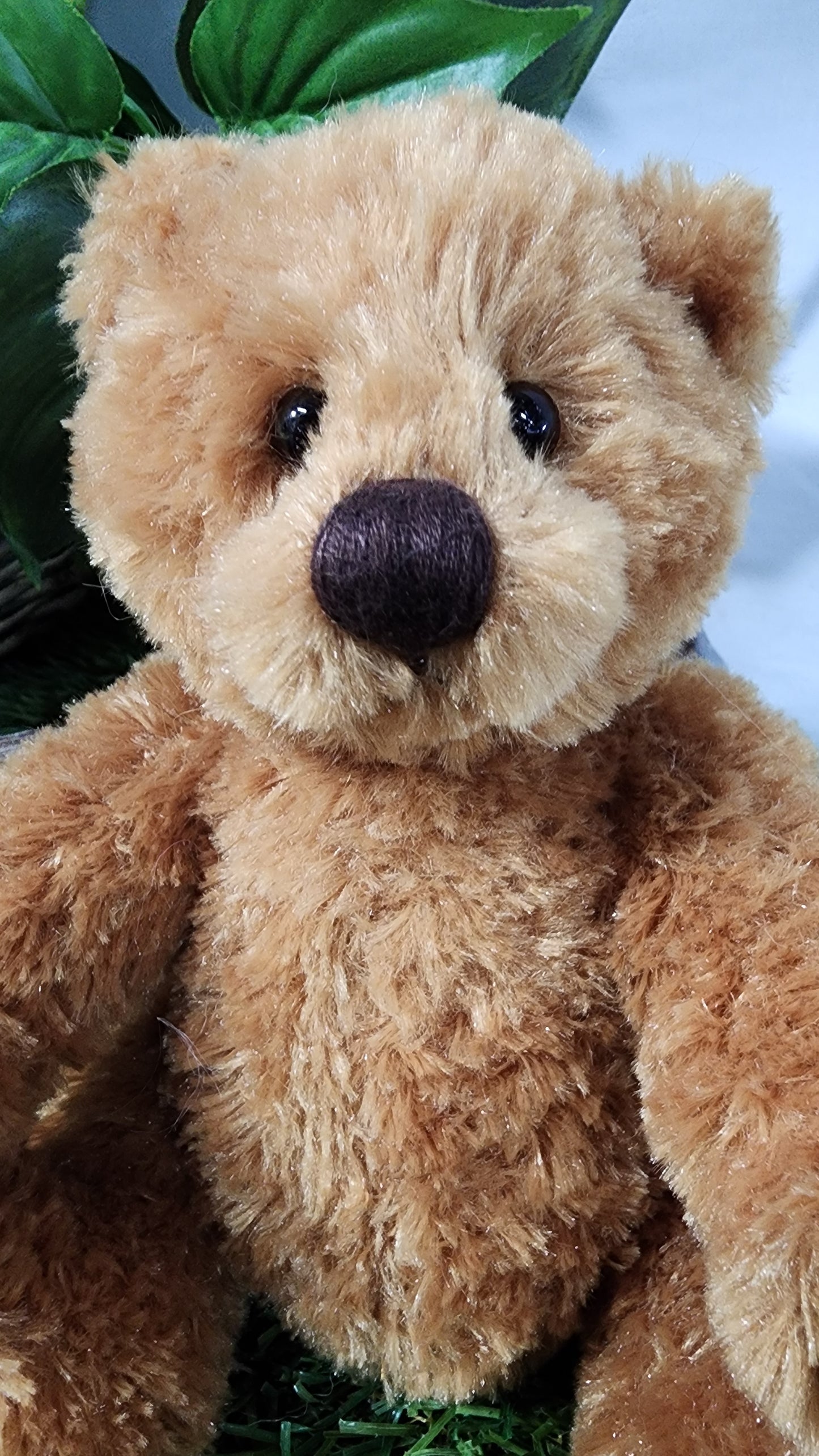 2026 CHARLIE BEAR HUGGABLE HARRY