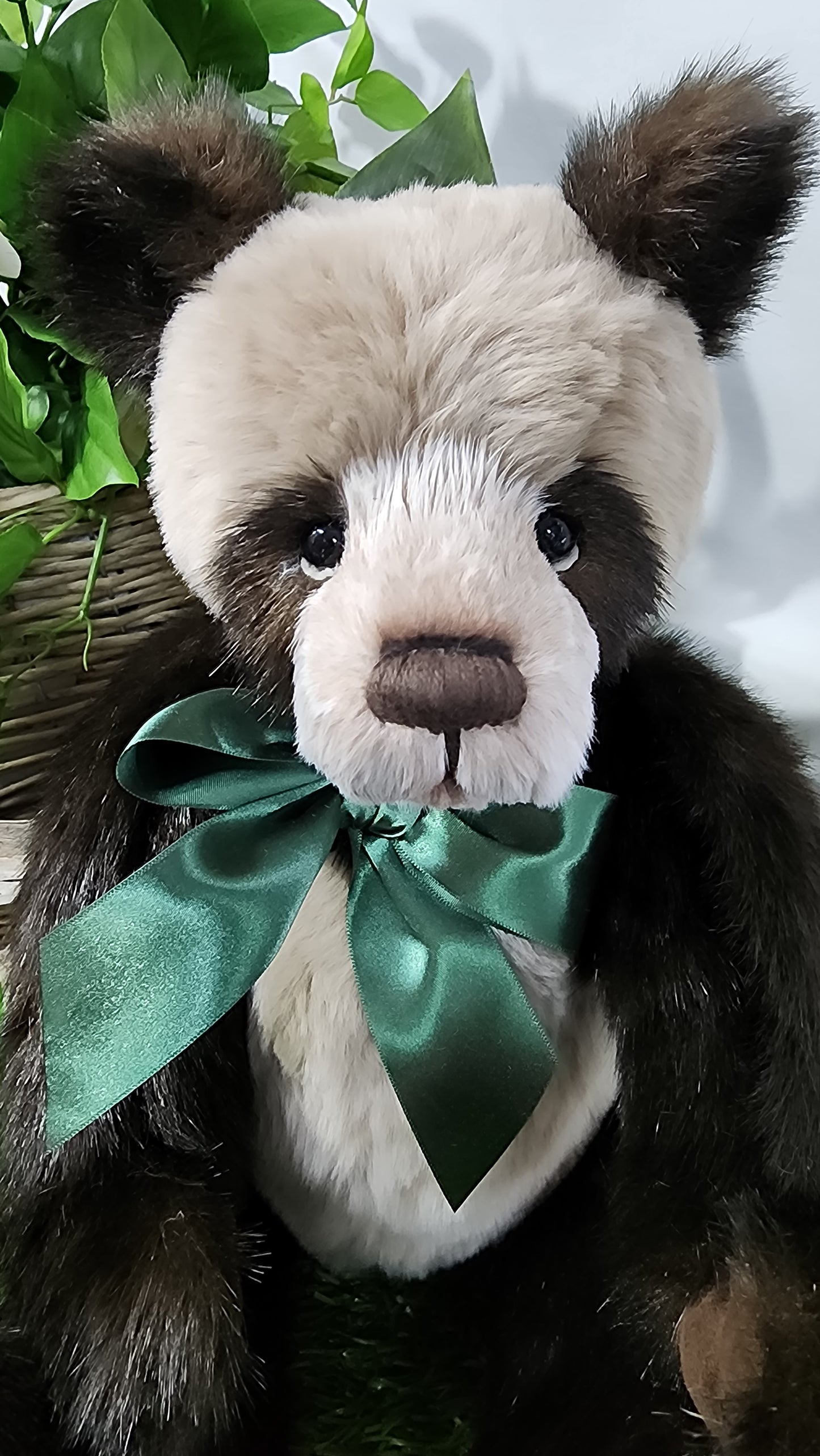 2025 CHARLIE BEARS BOTWOOD