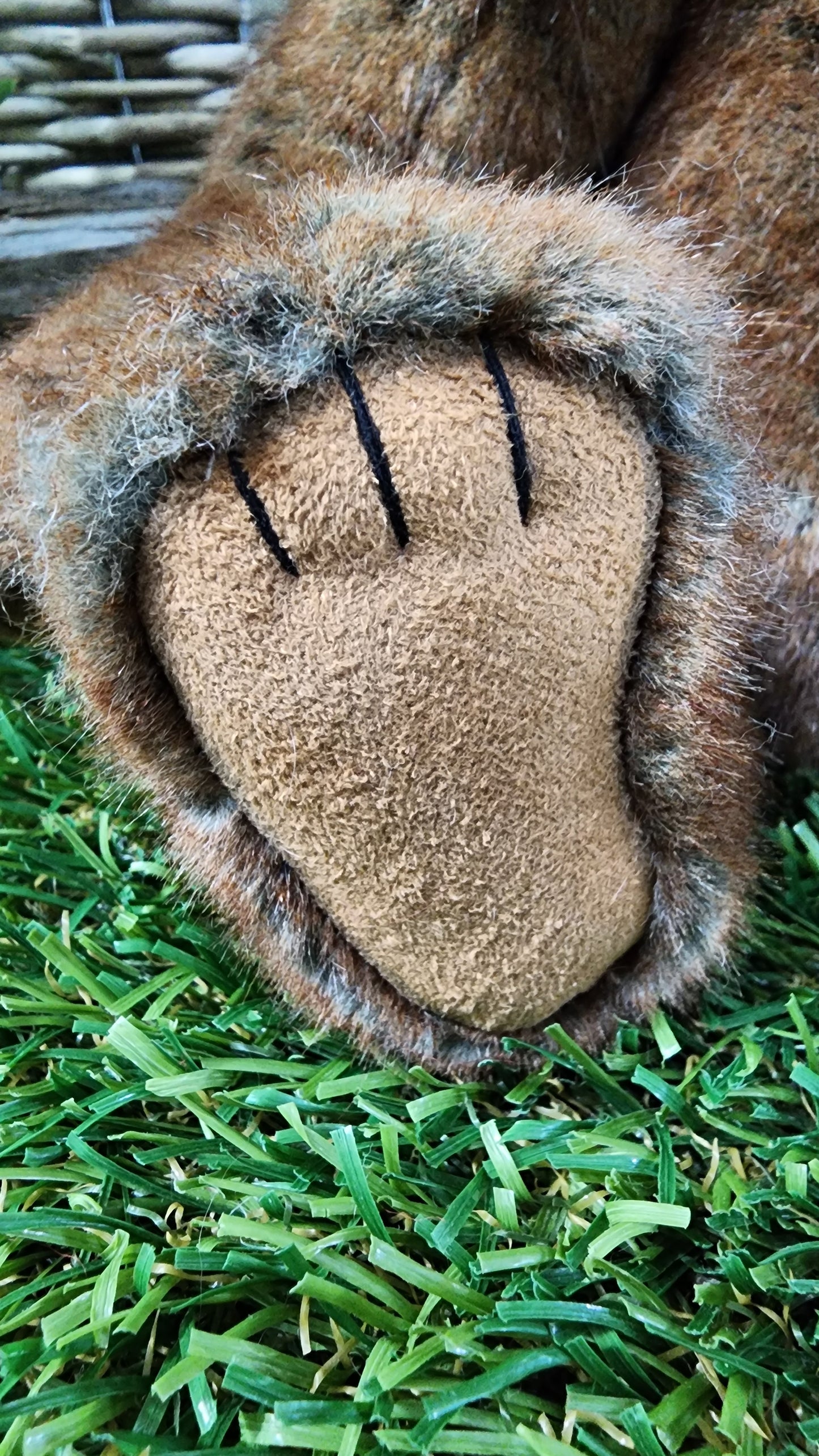 2025 CHARLIE BEARS PS EXCL WILSON