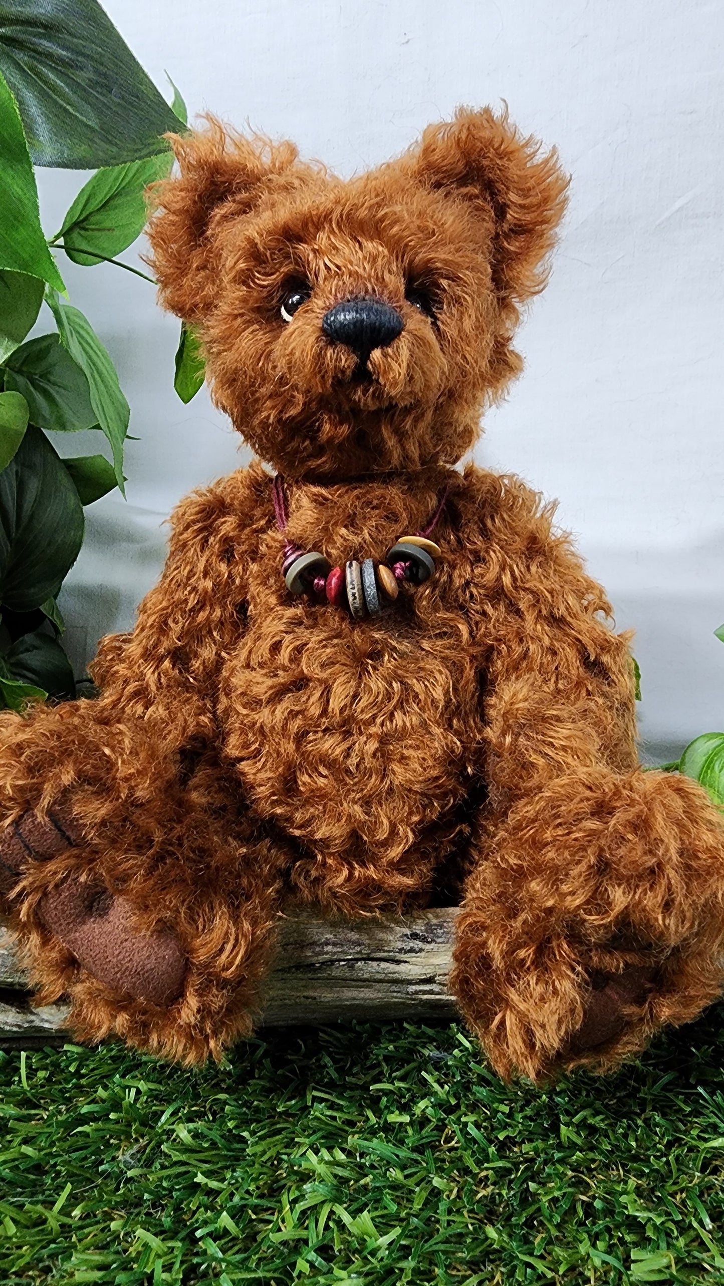2026 ISABELLE COLLECTION DIDYMUS