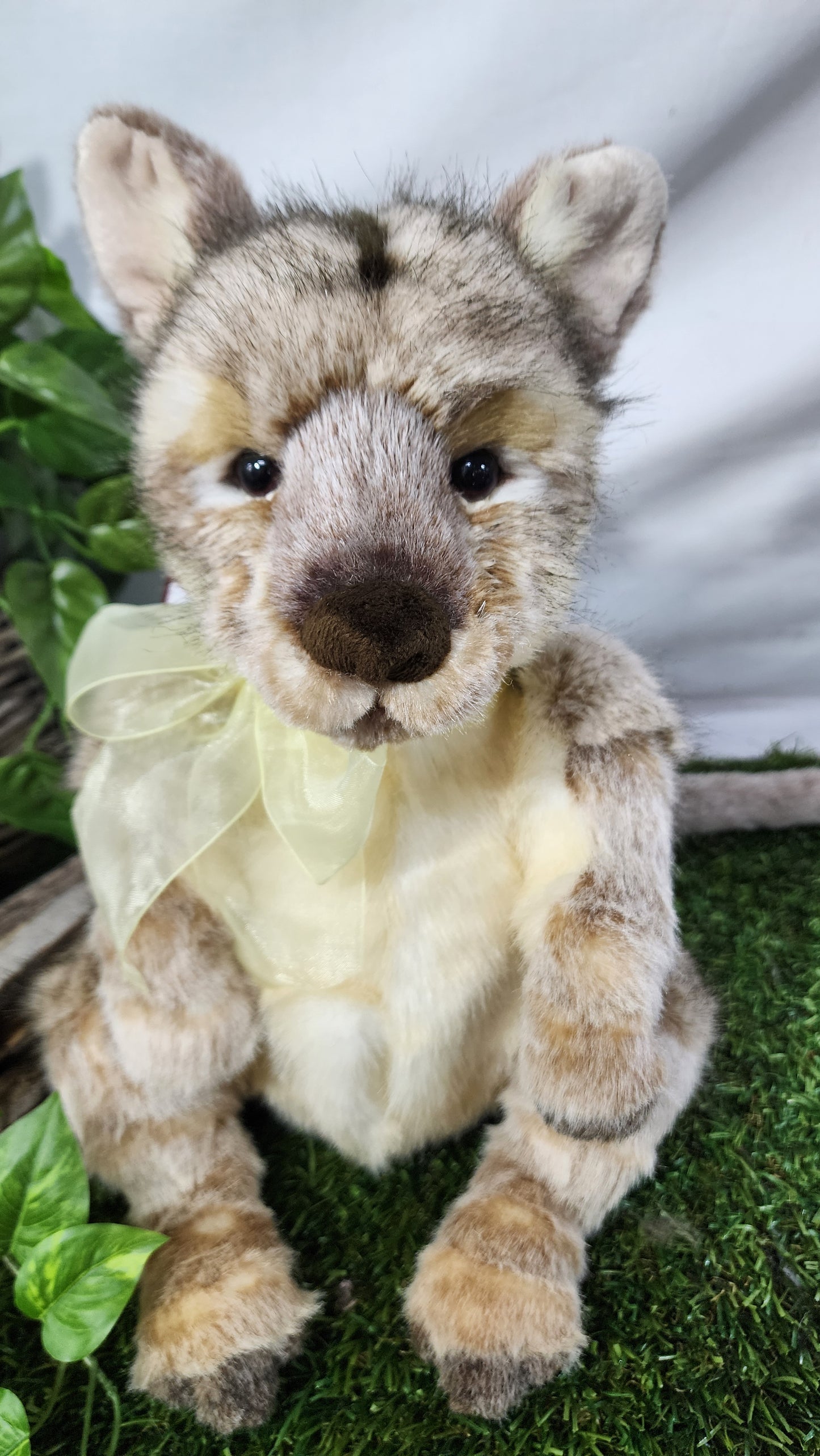 CHARLIE BEAR AUSTRALIA