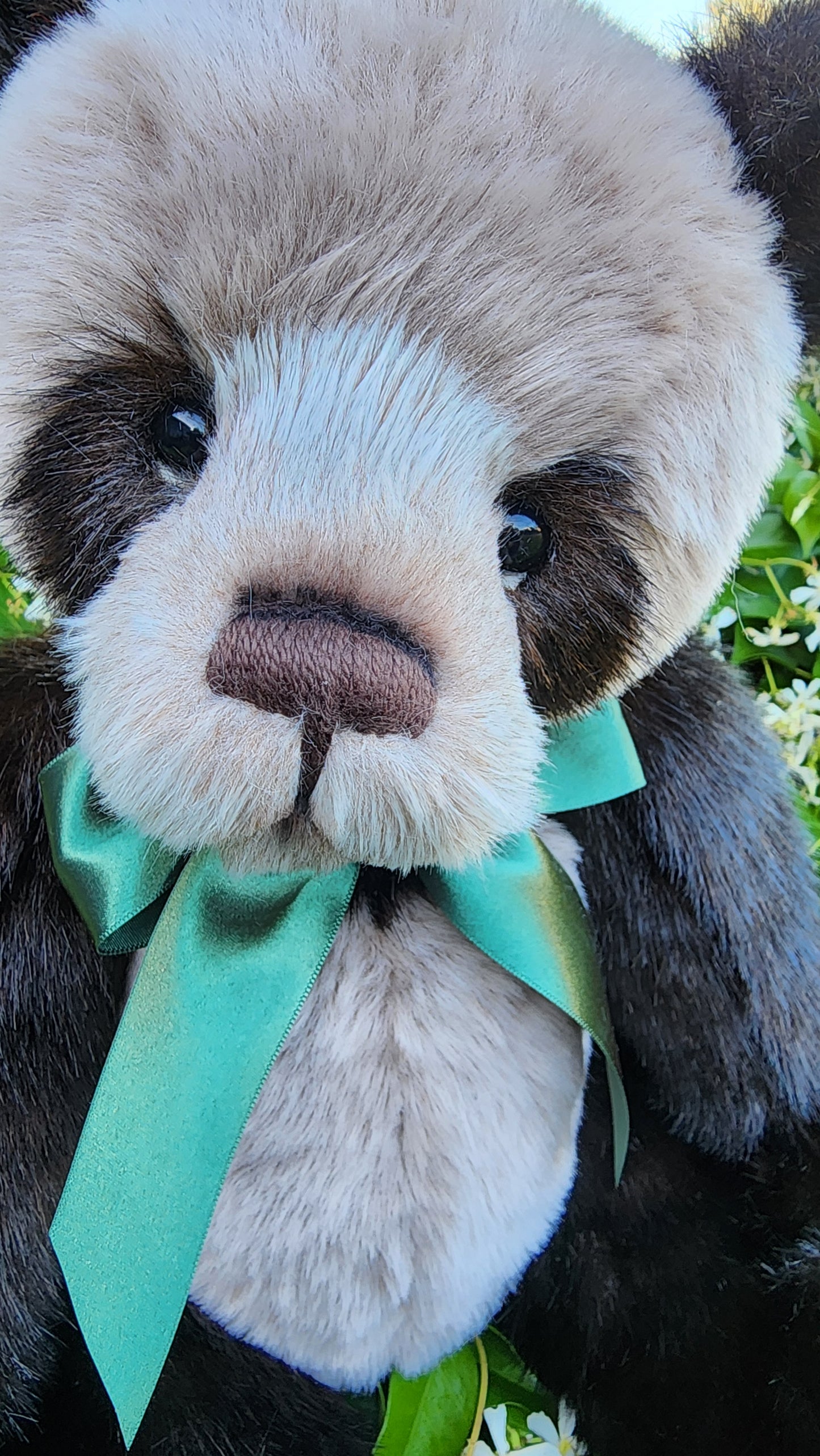 2025 CHARLIE BEARS BOTWOOD