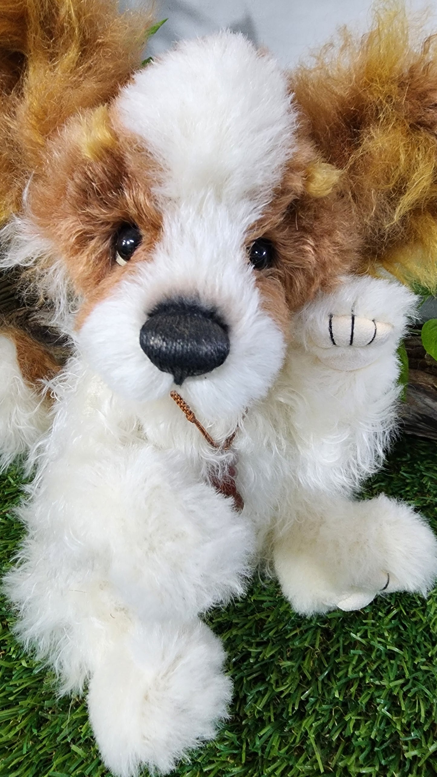 2026 ISABELLE COLLECTION MUNCHKIN