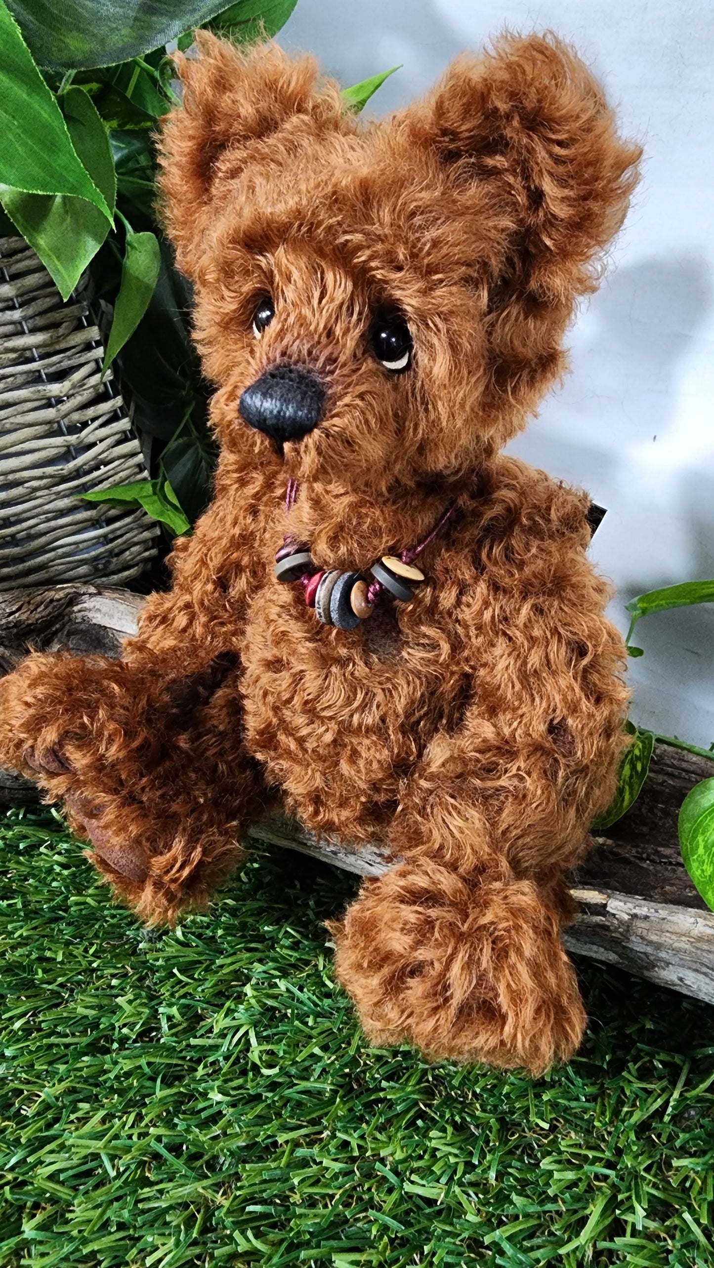 2026 ISABELLE COLLECTION DIDYMUS