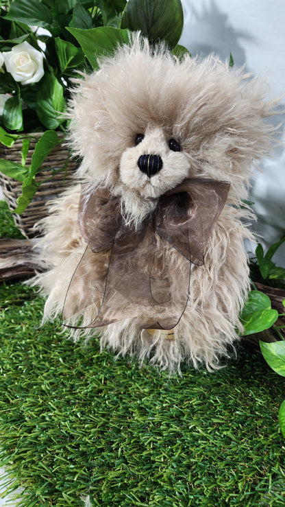 2026 CHARLIE BEAR FIZZGIG