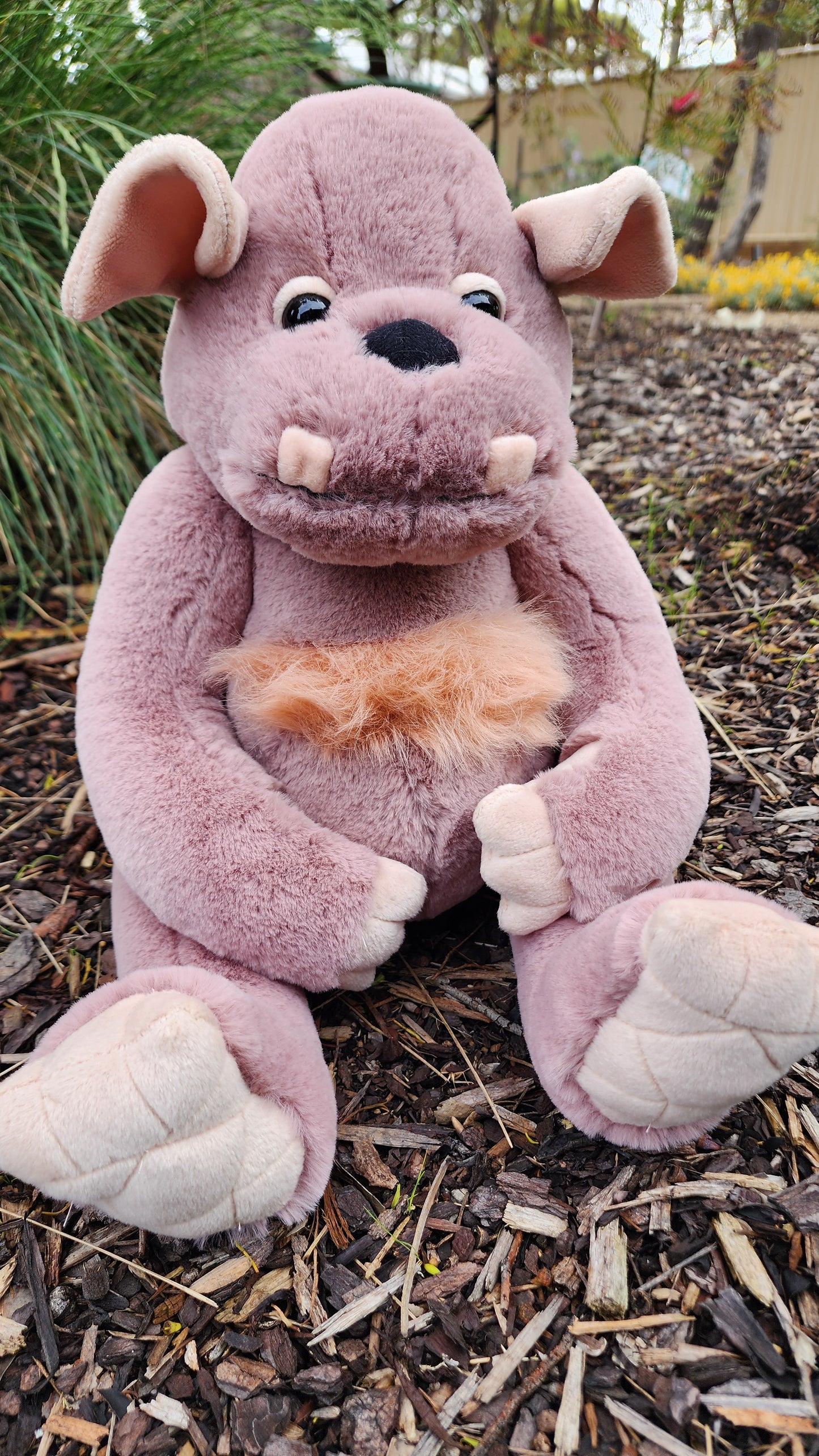 2025 CHARLIE BEARS BEARHOUSE BOULDER