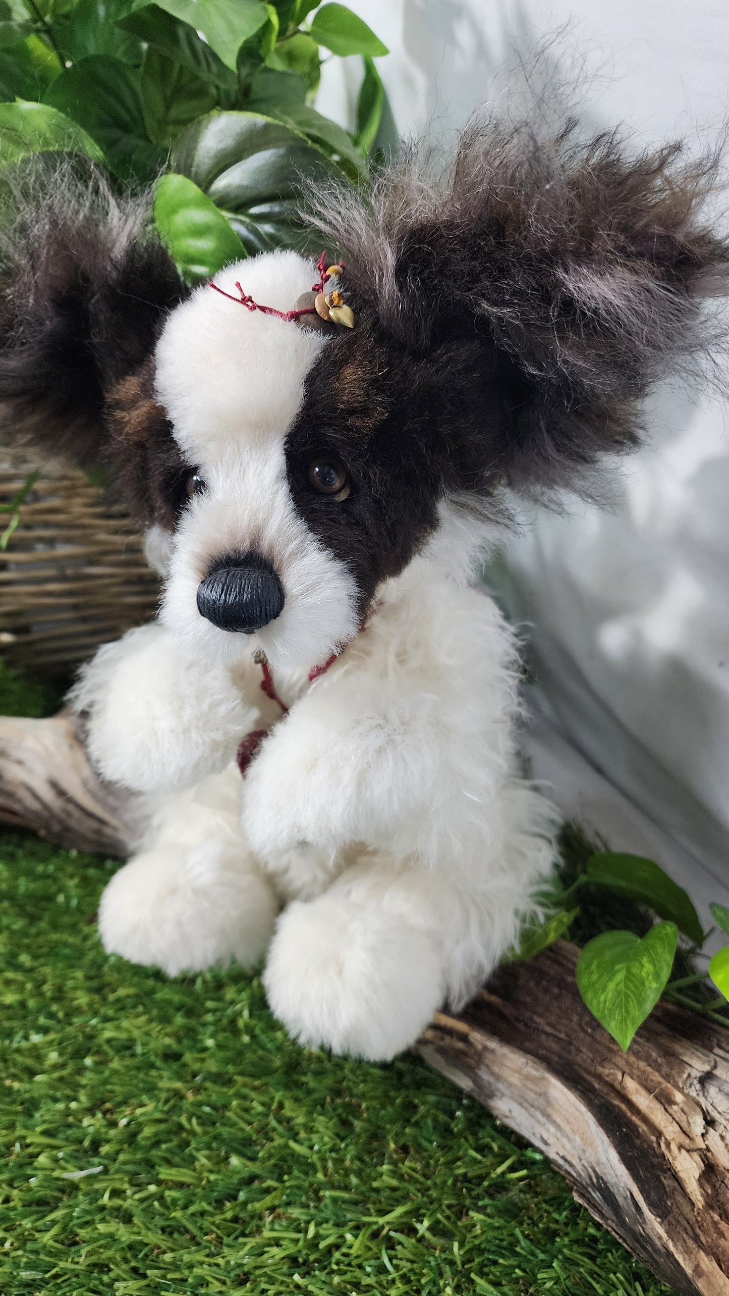 2026 ISABELLE COLLECTION TRIXIBELLE