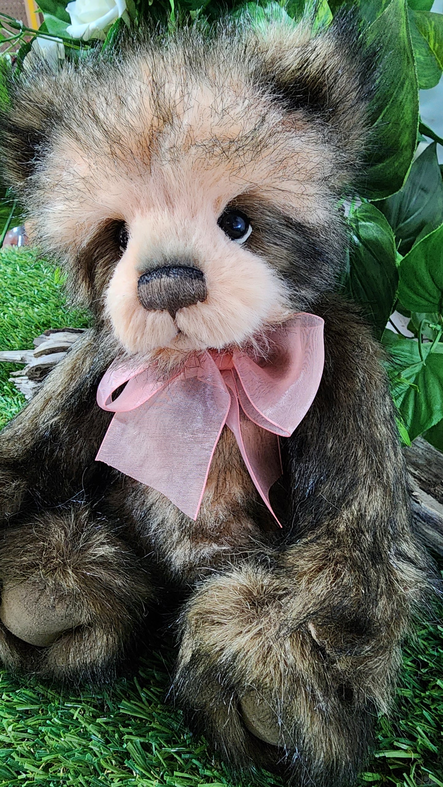 2026 CHARLIE BEAR SERENITY