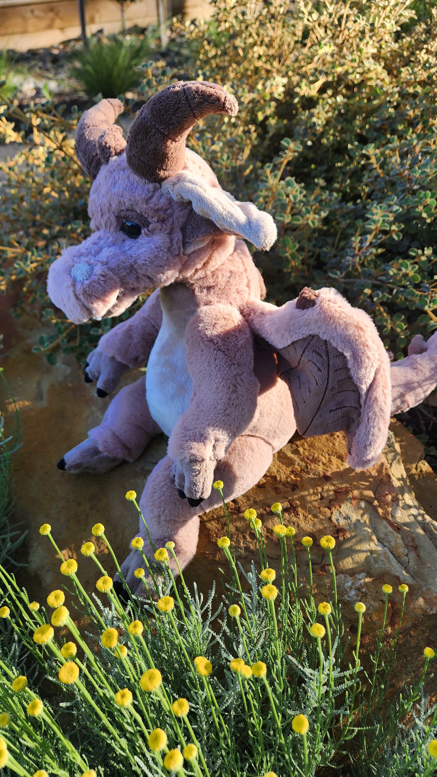 2025 CHARLIE SIGNATURE BEAR FELDSPAR