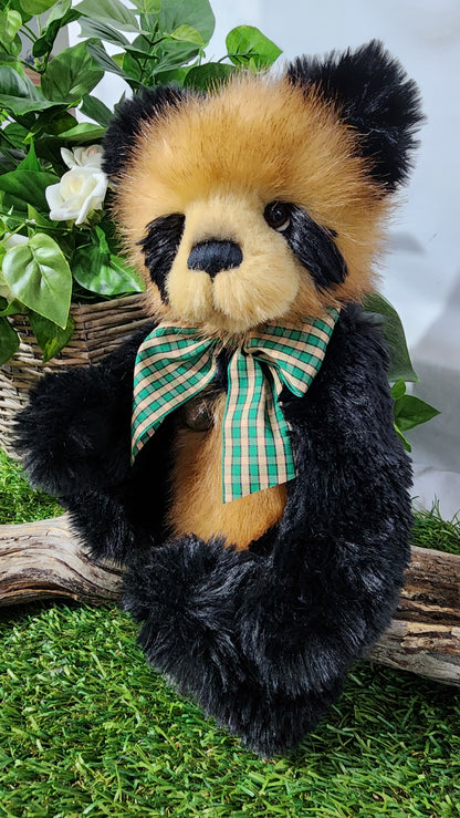 2026 CHARLIE BEAR COLLINS