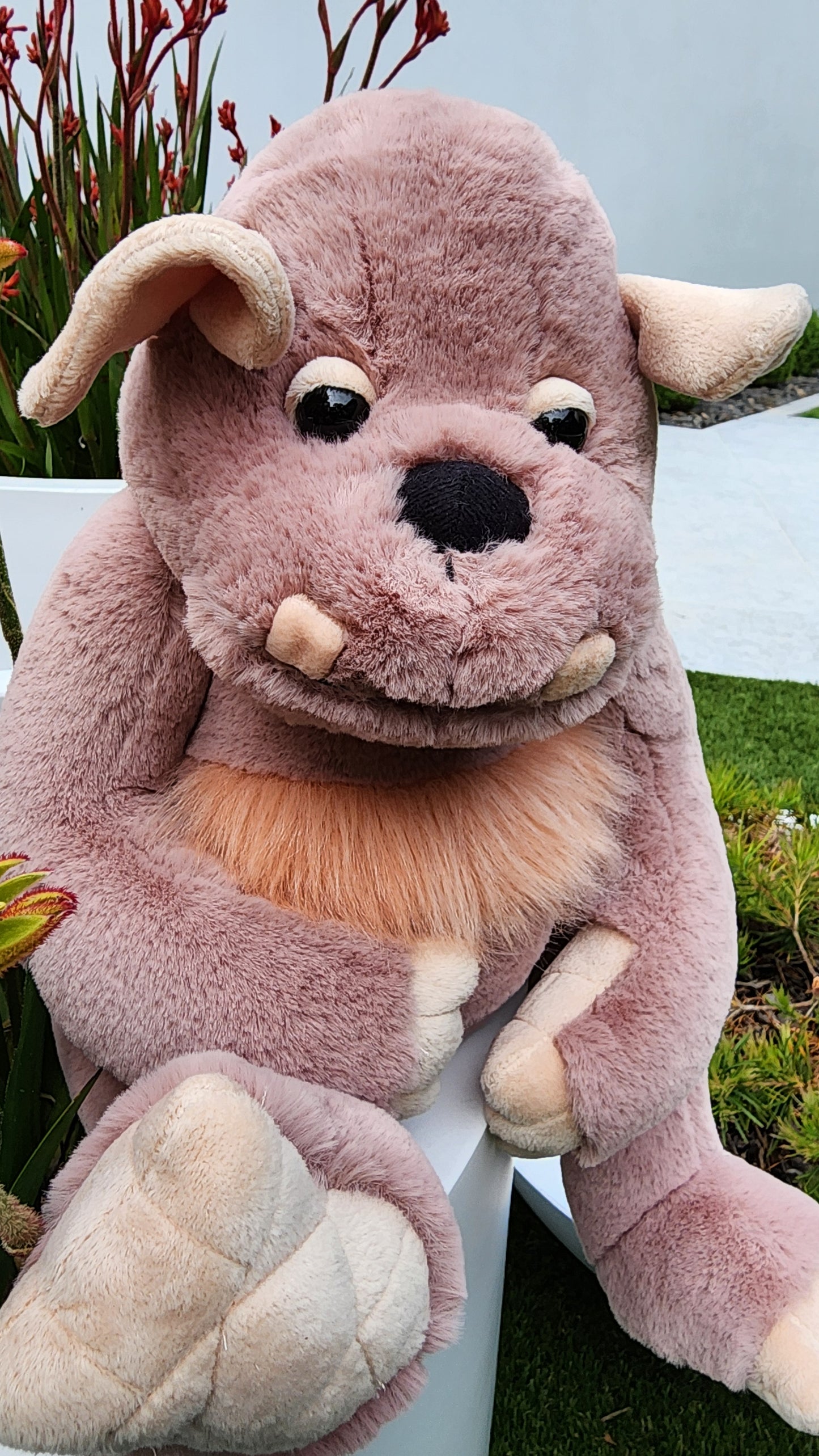 2025 CHARLIE BEARS BEARHOUSE BOULDER