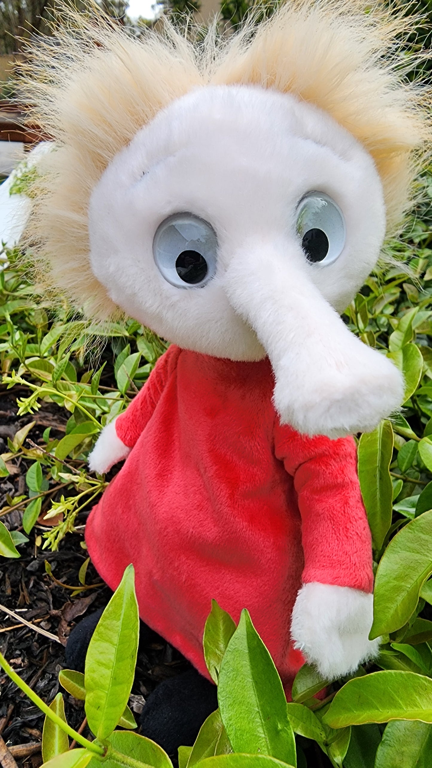 2025 CHARLIE SIGNATURE BEAR BOB